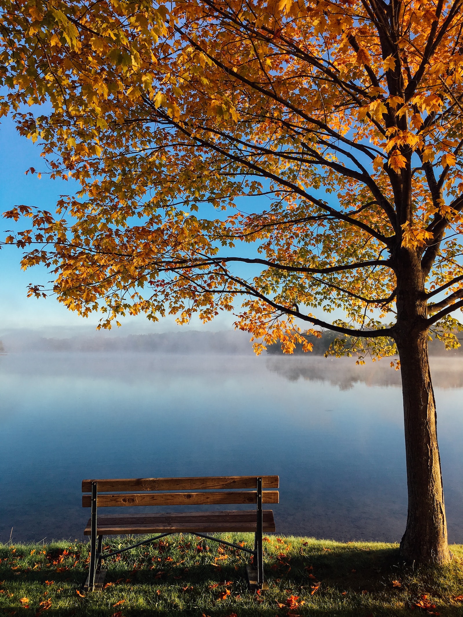 Beautiful peaceful fall afternoon overlooking the lake.