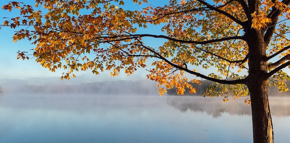 Beautiful peaceful fall afternoon overlooking the lake.