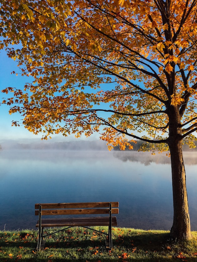 Beautiful peaceful fall afternoon overlooking the lake.